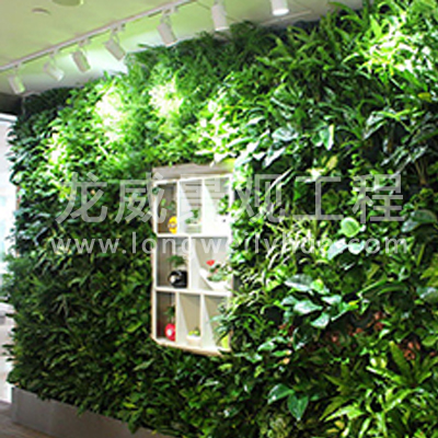 如何确保室内花卉绿植安全过冬？