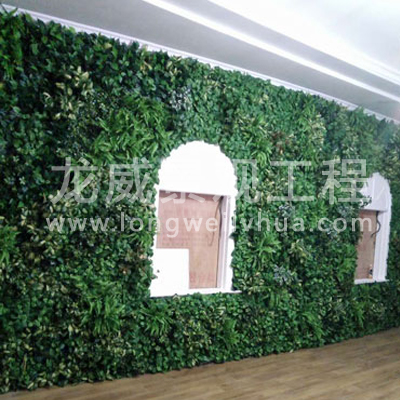 苏州植物墙